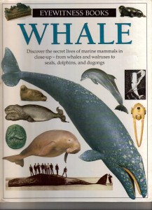 eyewitness books Whale