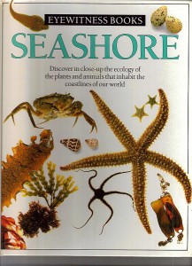 eyewitness books Seashore