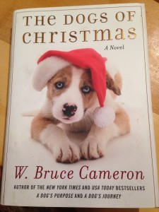 Christmas books make great gifts!